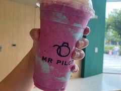 -飞行喵MR PILOT|猫舍·猫咖(静安大融城店)