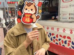 -富豪雪糕车流动点(尖沙咀)