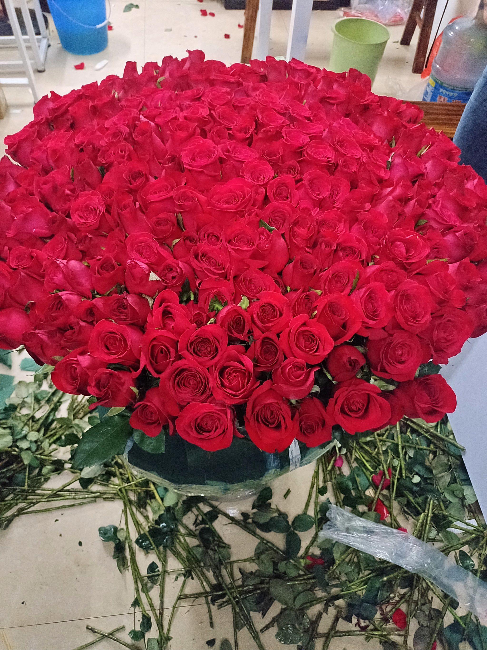 大花束追女孩的表白神器