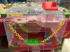 -钓仓鼠(洋桥北里小区店)
