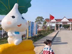 -上海都市菜园