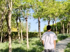 -天津东丽湖风景区