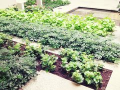 景观位-仁恒美食庭苑