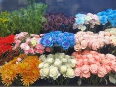 -荷兰花海