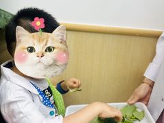 -神奇科学家STEAM科学实验科创赛事机器人编程逻辑思维MadScience(长宁来福士校区)