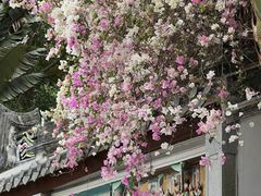 -深圳国际园林花卉博览园