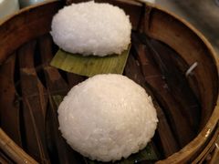 茨毛圆子-双塔老饭店