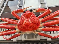 -蟹道乐(道顿堀本店)