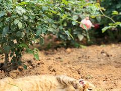 -人民公园(罗湖区)