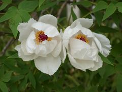 -西安关中民俗艺术博物院