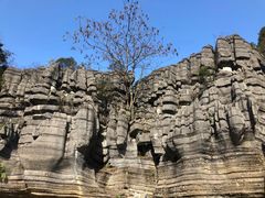 -梭布垭石林景区