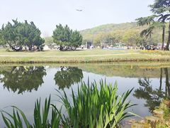 -无锡梅园公园