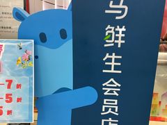 -盒马鲜生(大成店)