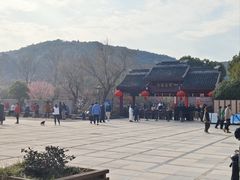 -香雪海