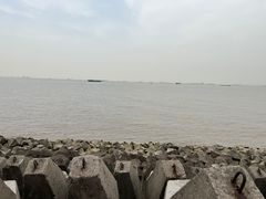 -上海滨江森林公园
