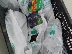 -百果园PAGODA(盛世家园店)
