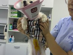 -太原东方动物医院(小店分院)