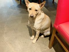 -Cactus墨西哥仙人掌餐厅