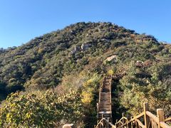 -大岭沟猕猴桃谷风景区