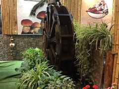 -大理董·董家小厨野生菌火锅(古城旗舰店)
