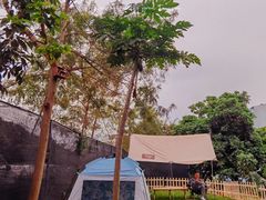 -星鹿农家乐·烤鸡·柴火鸡·团建