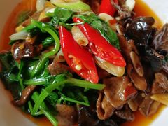 -肖仙仙羊肉汤·始于1996年(郫都店)