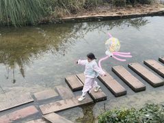 -恩阳古镇