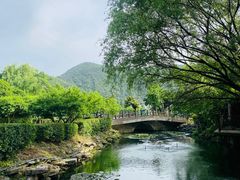 -树山生态村