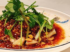 沙姜走地鸡-博多新记·粤菜(复兴店)