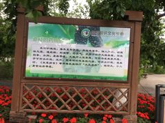 -御林古桑园