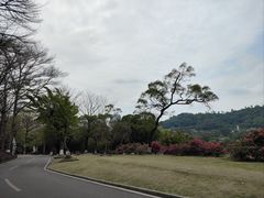 -珠海圆明新园