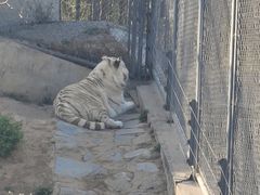 -石家庄市动物园