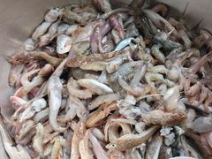 -青岛沙子口国家中心渔港