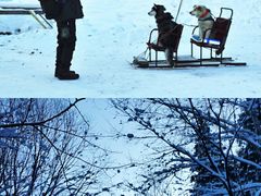 -雪谷