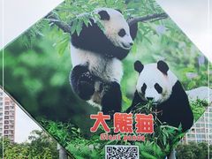 -深圳野生动物园