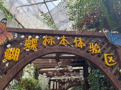 -天目湖山水园