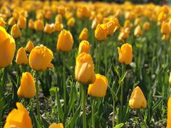 -长春公园(普阳街道)