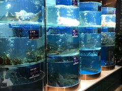-香坝坝鲜鱼火锅(春熙路店)