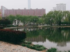 -泰丰公园