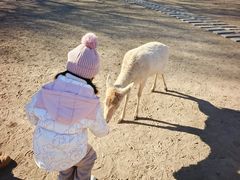 -北京麋鹿生态实验中心
