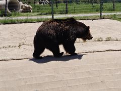 -鄂尔多斯野生动物园