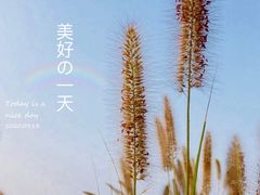 -天津东丽湖风景区