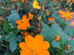 -芒洲湿地公园