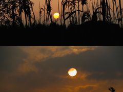 -上海国际音乐村