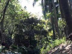 -滴水岩森林公园