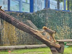 -大连森林动物园