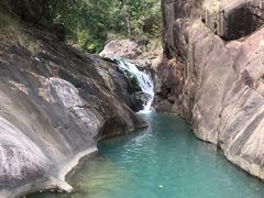 -广州白江湖森林公园