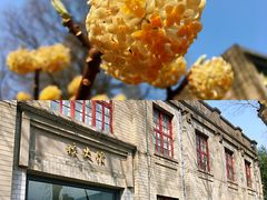 -东南大学(四牌楼校区)