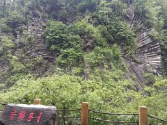 -望天鹅景区