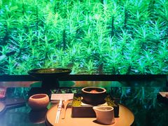 -地球美食剧场